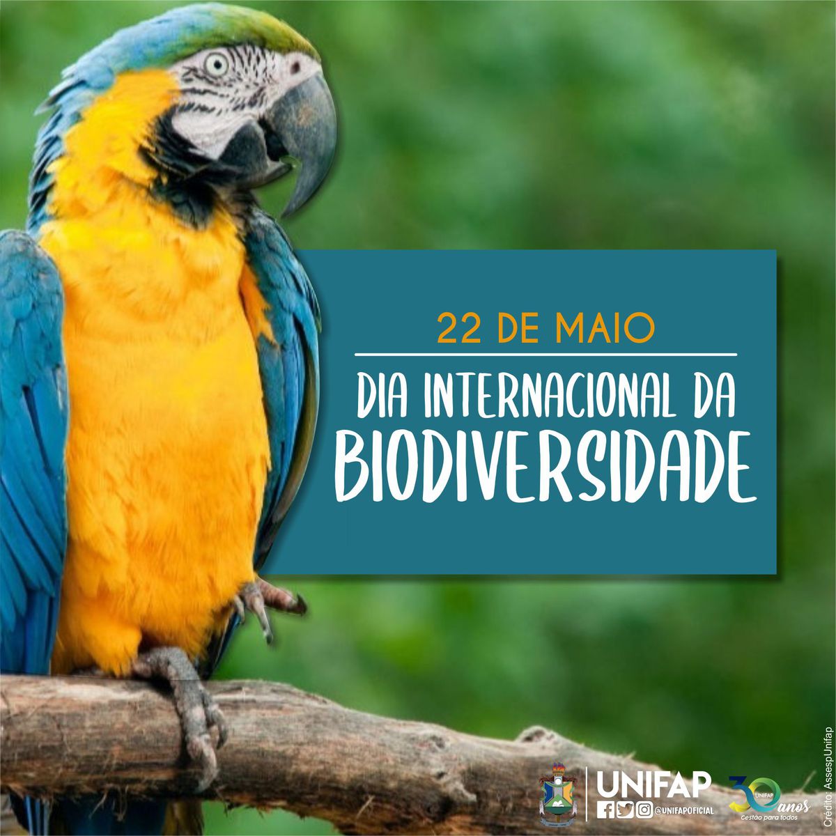 22 de maio, Dia Internacional da Biodiversidade