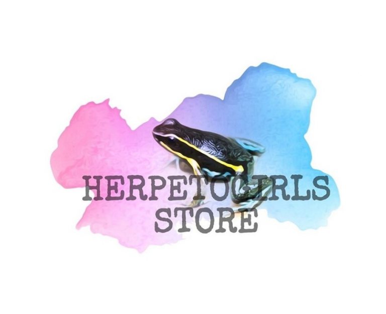 “Herpeto Girls”: projeto de acadêmicas sobre a Herpetofauna Amapaense