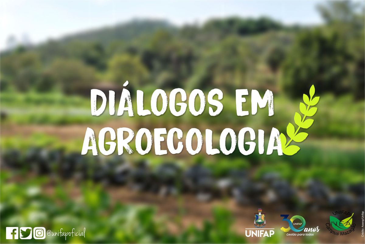 ‘Diálogos em Agroecologia’ terá live sobre sustentabilidade em sistemas agroflorestais
